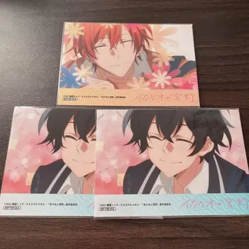 사사키와 미야노 사사키 슈 미야노 요시유미 사진 3장 세트