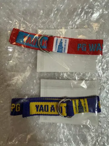 'PG는 하루아침에 만들어지지 않았다' / 암 벨트 2종 세트