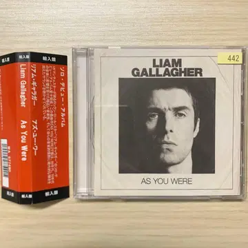 Liam Gallagher As You Were 수입반