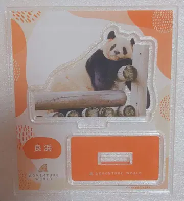 어드벤처 월드 량빈 팬더 아크릴 스탠드