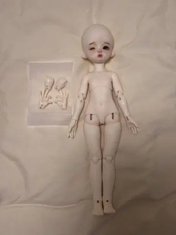 Guard Love wink yomi 1/6 사이즈 커스텀 인형