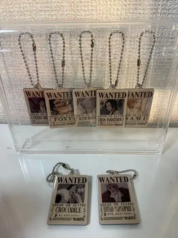 캡슐 토이 원피스 수배서 키링