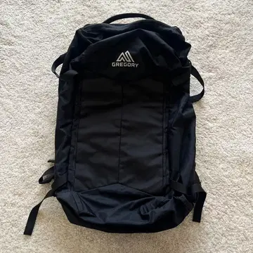 GREGORY 컴패스 30 백팩 블랙