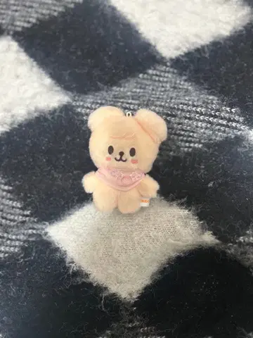 StrayKids 퍼핌 승민 10cm  페니미