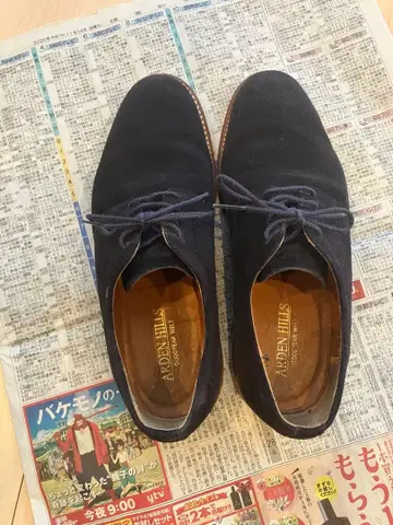 ARDEN HILLS 네이비 스웨이드 신발