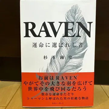 RAVEN 운명에 선택받은 자