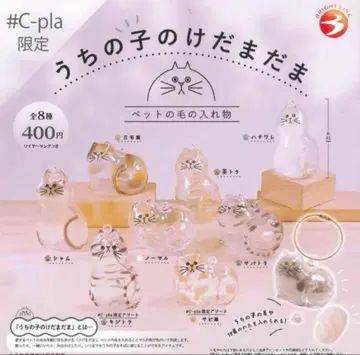 우리 아이 털뭉치 페르시안 친칠라 #C-pla 한정판 모듬