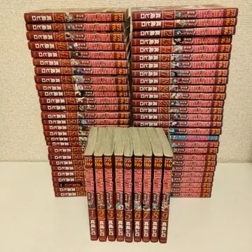 FAIRY TAIL 전권 세트