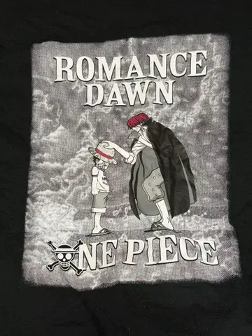 ONE PIECE ROMANCE DAWN T셔츠 5L