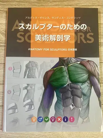 스컬프터를 위한 미술 해부학