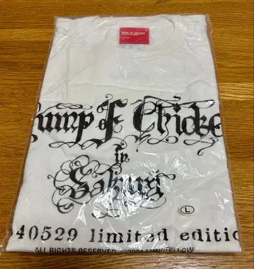 BUMP OF CHICKEN 2004년 사쿠라 프리 라이브 T 레어