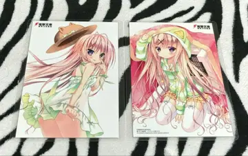 하나야시키 스미카 성지 순례 WonderGoo 엽서 2종 라미네이티드