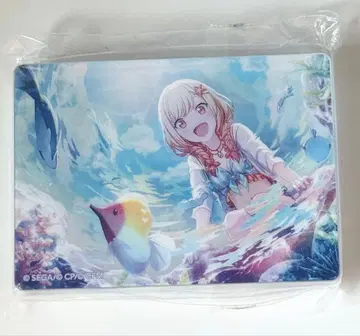 텐마 사키 노블 아트 Vol.22 프로세카