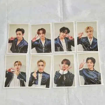 StrayKids IC 카드 MANIAC 8장 세트