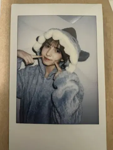 노엘 폴라로이드 후르츠 지퍼