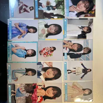 쇼겐지 요코 16장 사진 세트