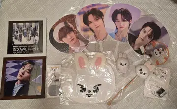 Stray Kids 스키즈 리노 묶음 판매