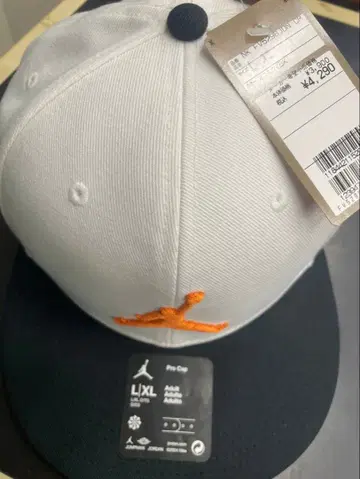 NIKE 조던 Pro 캡