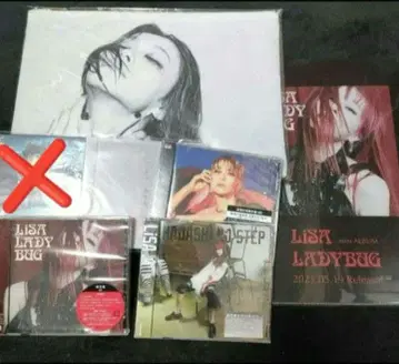 LiSA CD 5장 클리어 파일 파우치