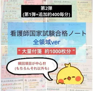 간호사 국가시험 요약 노트 대책 카드 포스트잇 노트 국시 일반 문제 간호