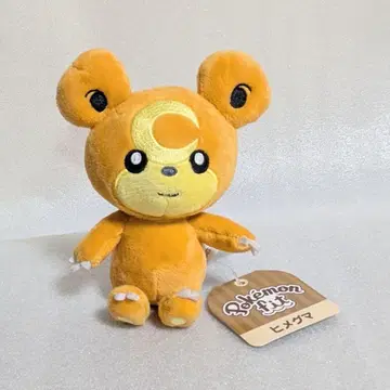 히메그마 pokemon fit