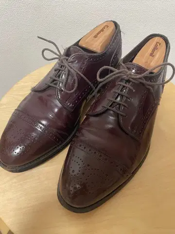 Allen Edmonds 6 2/1 윙팁