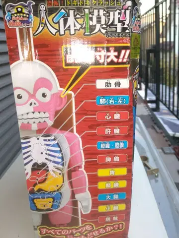 인체 모형 핑크 카드 포함