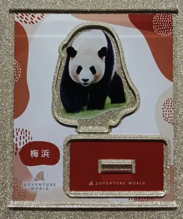 [미사용 새상품] 어드벤처 월드 팬더 아크릴 스탠드 2매화