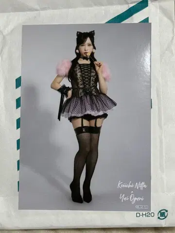 오구리 유이 AKB48 다이마루 도쿄점 대의상전 랜덤 브로마이드 히키