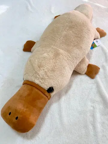 카모메 봉제 인형