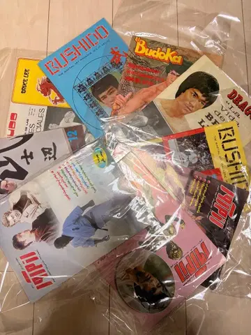 브루스 리 외국도서 잡지