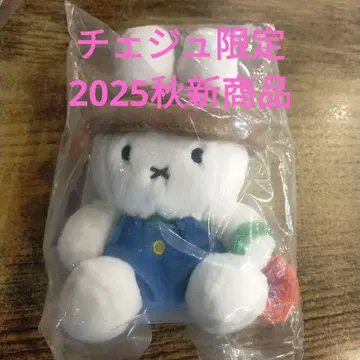 제주 한정 2025 가을 신상품