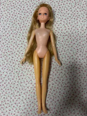 타카라 일본제 레이디 리카 아야짱