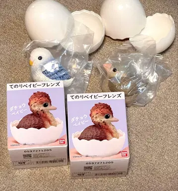 베이비 프렌즈 타조 금조 사랑앵무