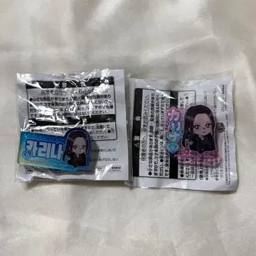 aespa 카리나 이름 아크릴 배지