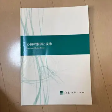 심장의 해부와 질환 Anatomy and Cardiac Disease