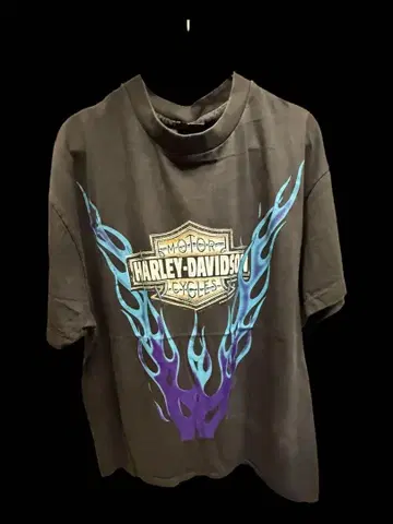 Harley Davidson XL 블랙 블루 썬더