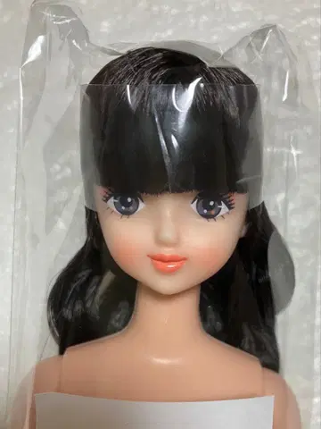 리카짱 캐슬 오타노시미 인형 카오리짱 오타노시미 인형