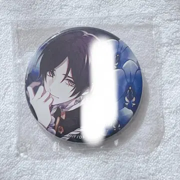 9R.I.P. 오토카프 레어 히비키