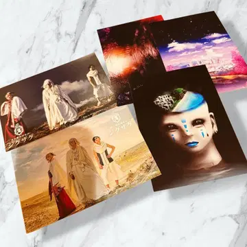 진천지개벽집단 지그재그 엽서 세트