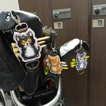 가죽 고양이 티 3개 & 그린 호크와 공 홀더