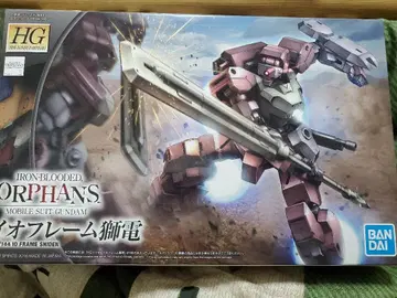 HG 이오 프레임 시덴