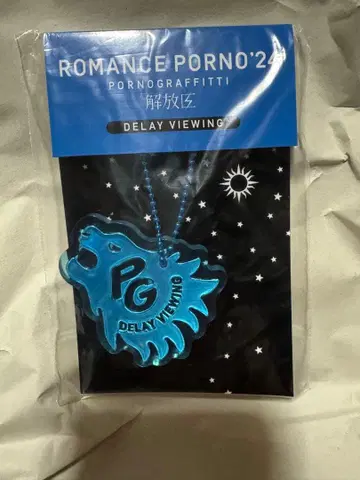 포르노그라피티/리플렉터 키링/DELAY VIEWING