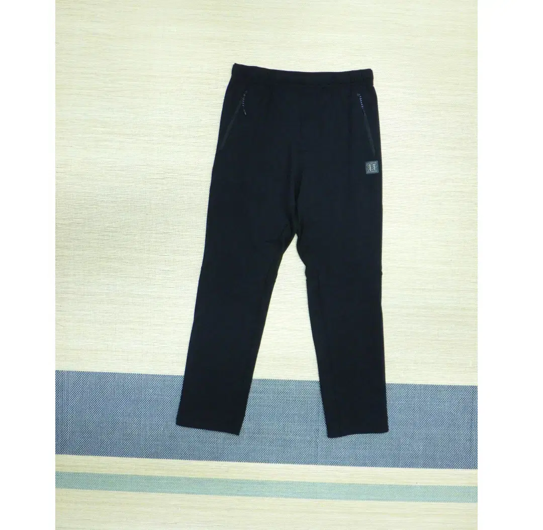 (75cm) Kolon Sport Polartec Men&#x27;s Training Pants