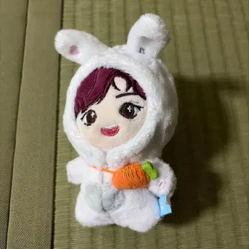 보물 도영 봉제 인형