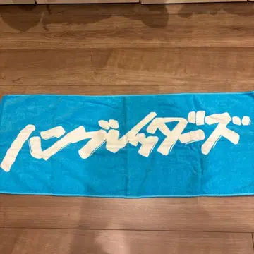 함브레더즈 타월