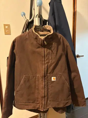 Carhartt 아우터 브라운