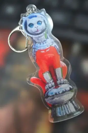 쉽스 캣 아크릴 키링 2511