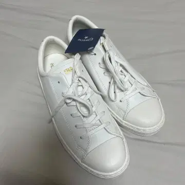 새상품 미사용 [ 여성용 CONVERSE 스니커즈 ] 화이트 24.5cm