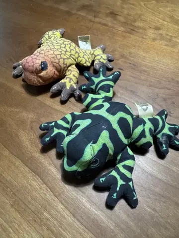 컬러풀한 도마뱀과 개구리 봉제 인형 세트